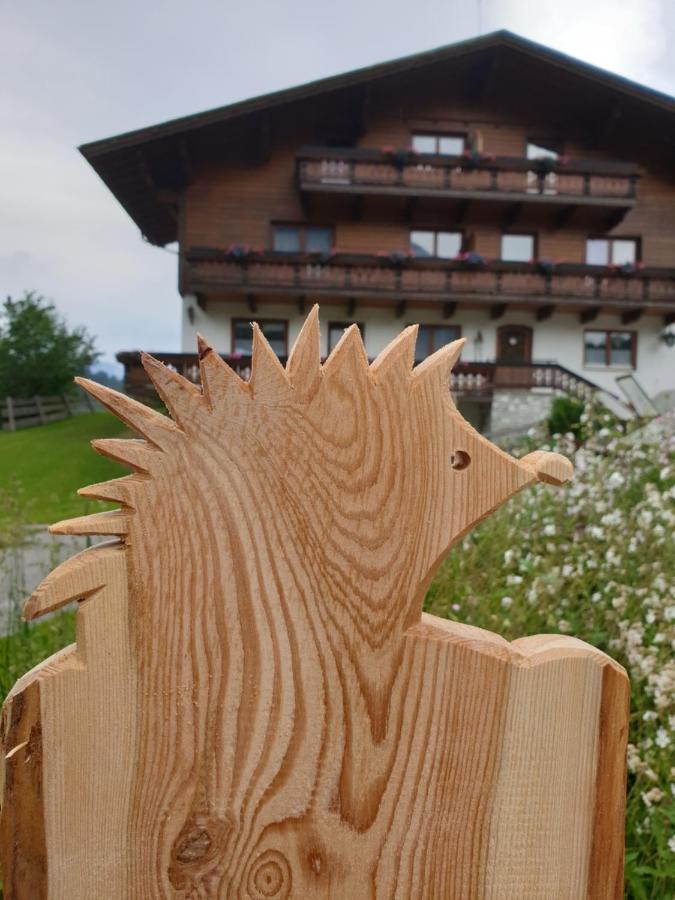 Villa Ahlhof Schladming Exterior foto